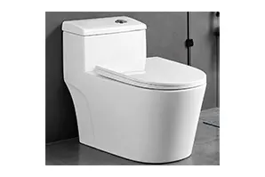 One Piece Toilets